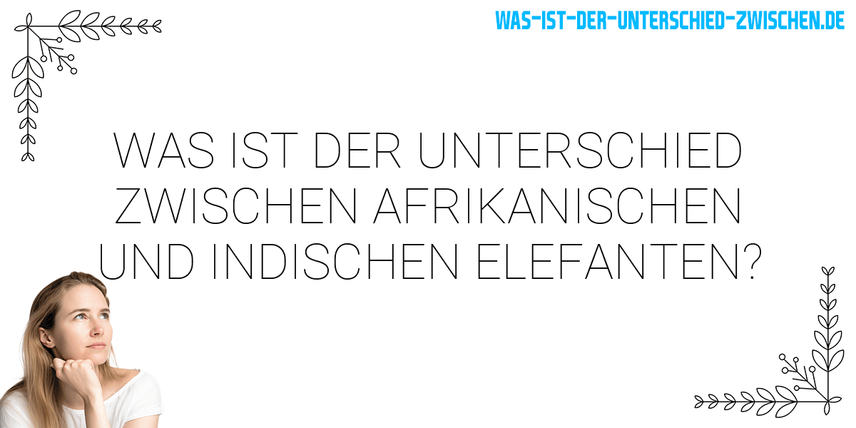 Was ist der Unterschied zwischen afrikanischen und indischen elefanten?