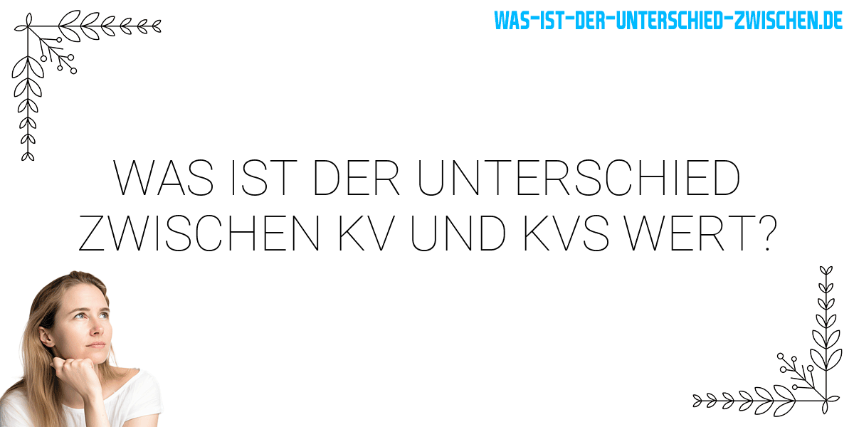 Was ist der Unterschied zwischen kv und kvs wert?