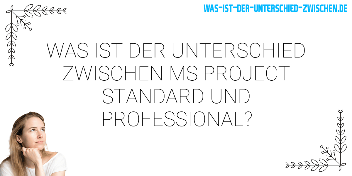 Was ist der Unterschied zwischen ms project standard und professional?